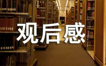 安全警示教育观后感6篇