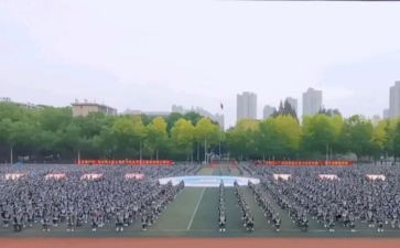 观训心得体会3000字参考8篇