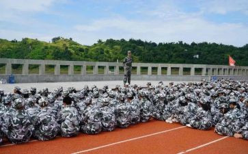 观训心得体会500字7篇