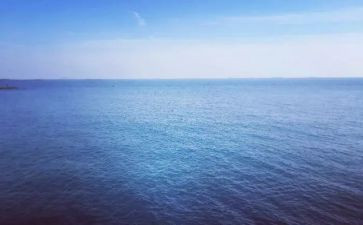 国际海上运输合同7篇