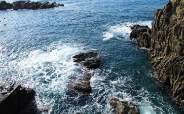 海鸥岛作文7篇
