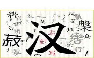 我的年度汉字超作文优质8篇