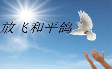 和平积心得体会通用5篇