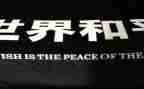和平积心得体会6篇