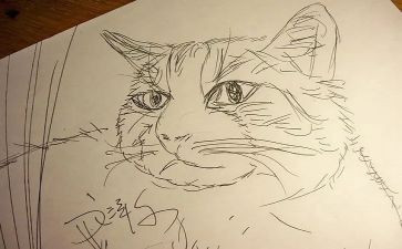 一年级《画》教案参考6篇