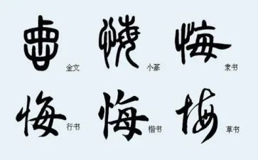 我后悔的作文500字8篇
