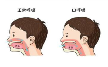 护士呼吸科个人总结7篇