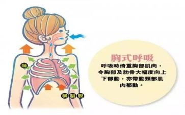 呼吸科实习的心得体会8篇