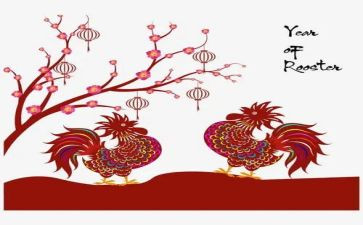 小班孵鸡蛋教案6篇
