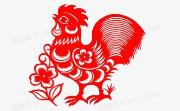 运鸡蛋教案7篇