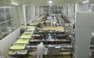 食品加工作总结推荐6篇