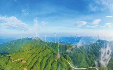 加强生态建设心得体会7篇