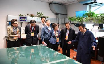 2023年社区监委会工作总结最新7篇