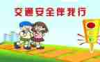 安全交通心得体会精选5篇