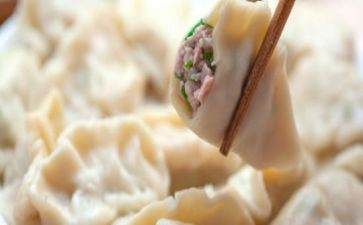 介绍饺子的作文6篇