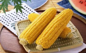 玉米种购销合同6篇