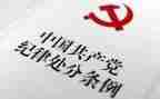 纪律会心得体会优秀8篇