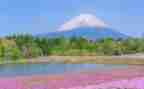 初中作文风景600字6篇