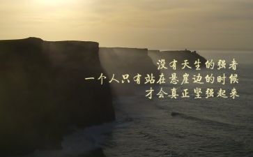 特区精神的心得体会7篇