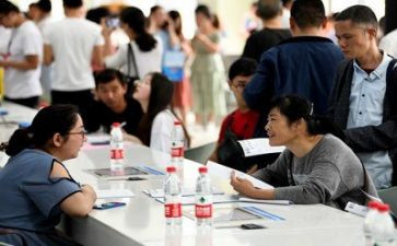 2024年就业工作半年总结7篇