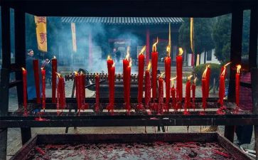 清明节祭祖的作文8篇