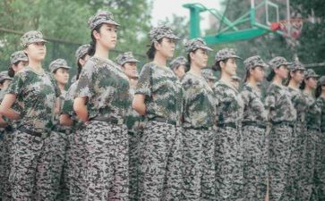 军训感悟心得500字7篇