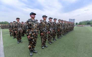 军训14天的心得体会5篇