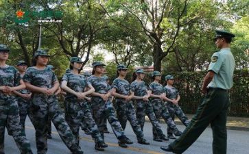 有关军训的心得体会7篇