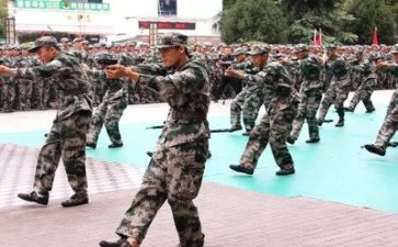军训心得体会,300字优秀5篇
