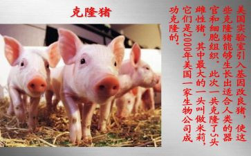 克隆的我优秀作文5篇