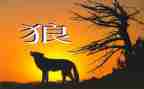 教学《狼》的心得体会精选8篇
