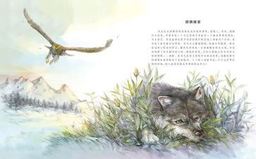 狼王梦的读后感400字模板7篇