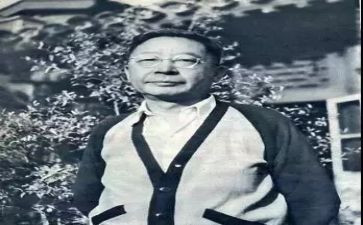 老舍的《养花》读后感6篇
