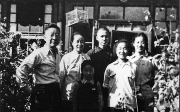 老舍的养花读后感7篇