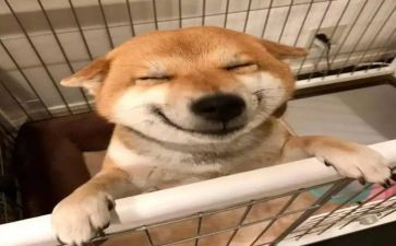 中班音乐春天教案8篇