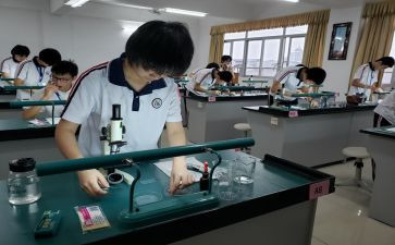 理化生工作总结5篇