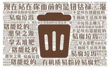 垃圾分类进校园心得体会5篇