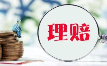 2023理赔部工作总结8篇