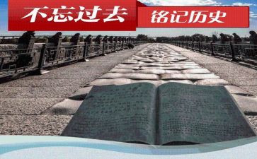 历史教师心得体会7篇