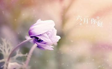 幼儿园小班六月工作总结7篇