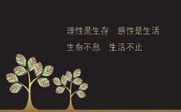 励志的作文500字8篇