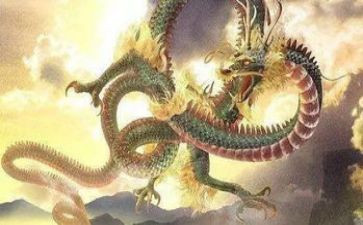 好龙的读后感优质7篇