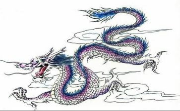 我在龙舟的作文最新6篇
