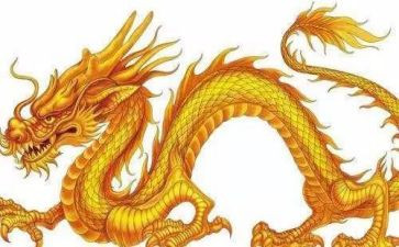 好龙的读后感7篇