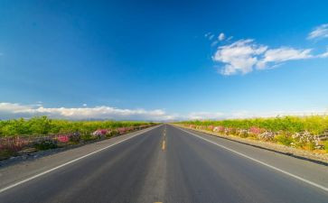 2024年道路交通工作总结5篇
