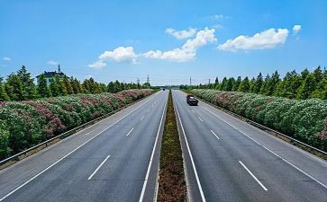 路氏调查报告模板8篇