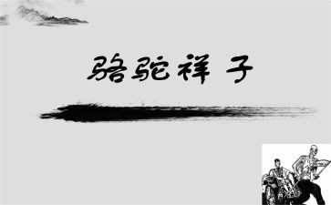 骆驼的读后感600字优秀5篇