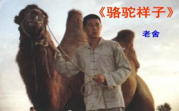骆驼的读后感优质6篇