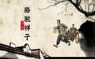 骆驼的读后感500字通用6篇