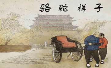 骆驼读后感800字5篇